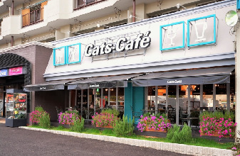 Cats-café 港店