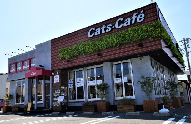 Cats-café 蒲郡店